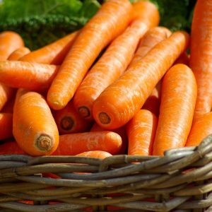 carrots, basket, vegetables